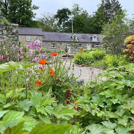 Llandysul Crug Yr Eryr Isafヴィラ エクステリア 写真