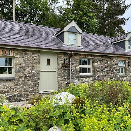Llandysul Crug Yr Eryr Isafヴィラ エクステリア 写真