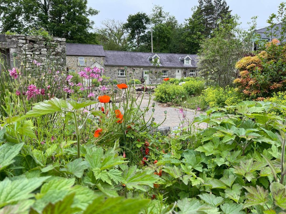 Llandysul Crug Yr Eryr Isafヴィラ エクステリア 写真